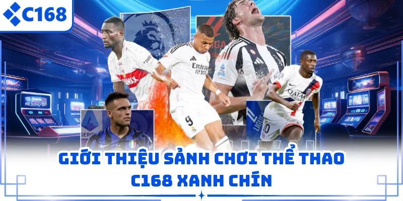 Giới thiệu sảnh chơi thể thao C168 xanh chín